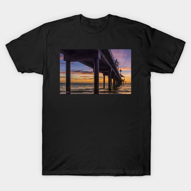 JETTY FISHING T-Shirt by lordveritas